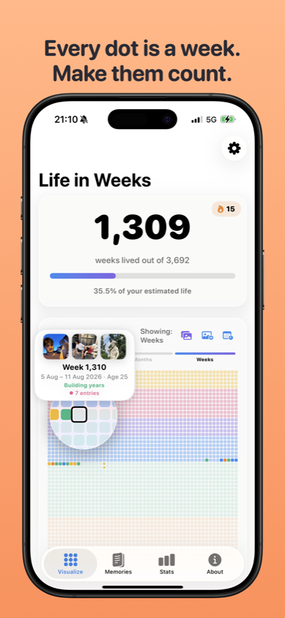 The WeeksLeft life grid, showing weeks lived out of an estimated lifetime
